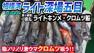 Light Deepwater Five-Fish Fishing in Sagami Bay] Light Kinme and