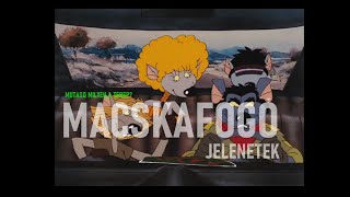 MACSKAFOGÓ JELENETEK/ LASSÚ A TEREPJÁRÓ