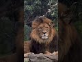 Originally main villain hi hoon... 🦁