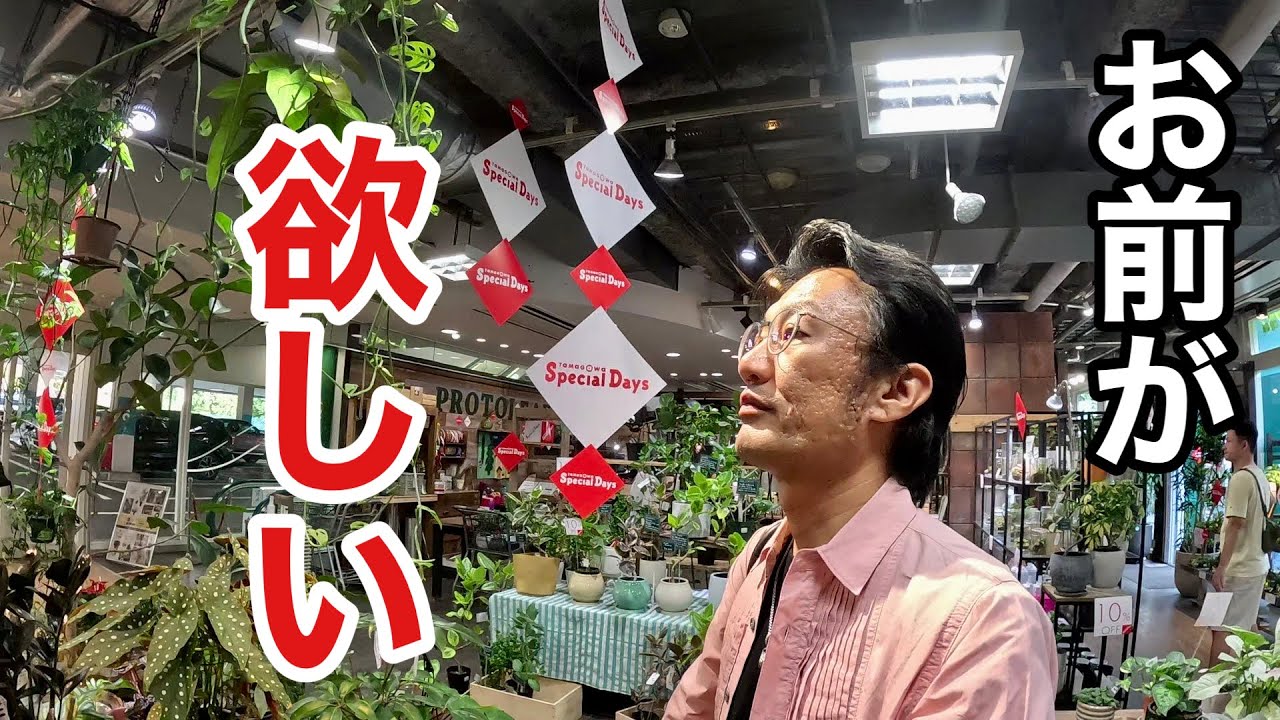 Why don't you come to my house? [Gardening Superman Carmen-kun