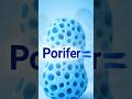 #bio Spartans #shortvideo #shailendra sir #trending #animals #kingdom #porifera