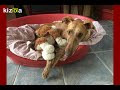 Kizoa Movie - Video - Slideshow Maker: JAZZ 9-10-2018