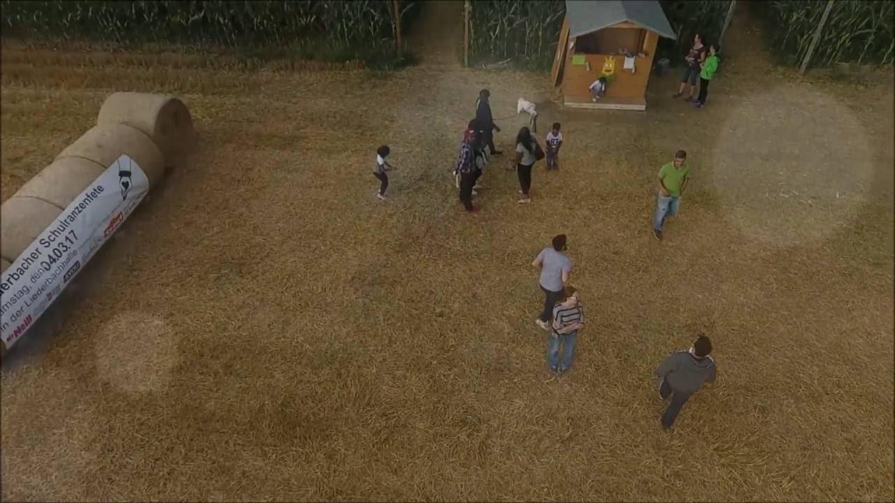 Maislabyrinth Liederbach