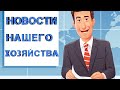 Почему давно не было роликов? Новости нашего хозяйства.