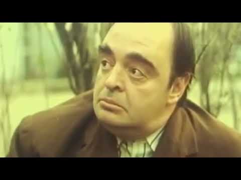 Ti si jedna