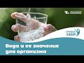 Вода и её значение для организма