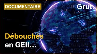 Les Débouchés En Geii