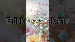 ÉRDEKES TÉNYEK 19 #shorts