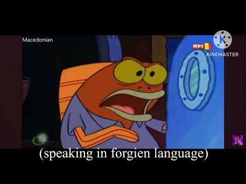 Well This One S On The HOUSE FULL Multi Languages