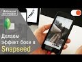 Как достичь эффекта боке в Snapseed - Уроки мобильной фотографии