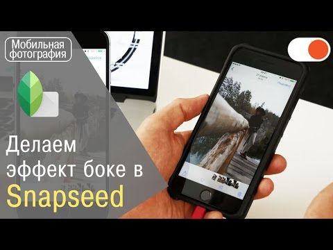 Как достичь эффекта боке в Snapseed Уроки мобильной фотографии