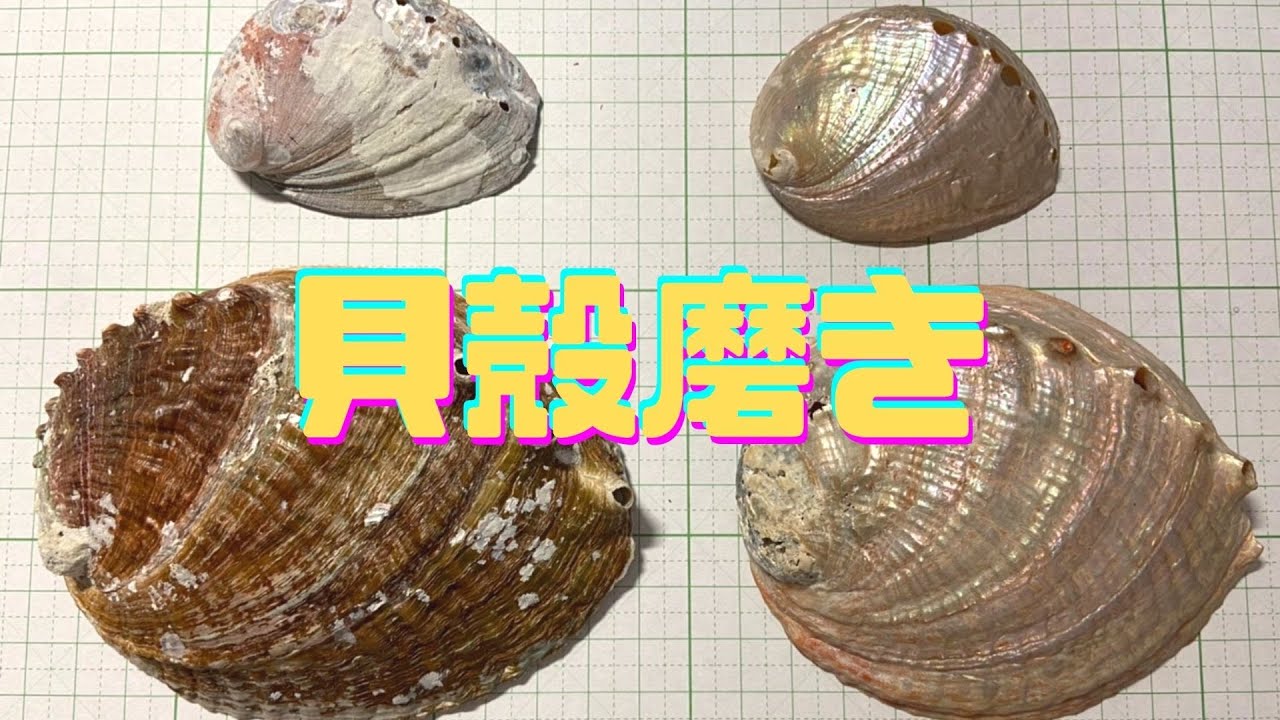 DIY アワビの貝殻を磨く - YouTube