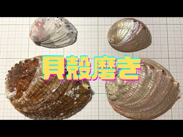 DIY アワビの貝殻を磨く - YouTube