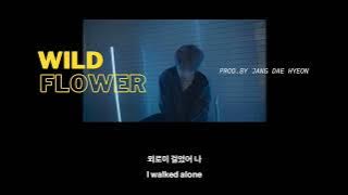 [한/ENG Lyrics] Wild Flower (prod.by JANG DAE HYEON) | 위아이(WEi)