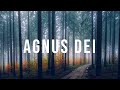 Agnus Deis (Digno De Louvor) Michael W. Smith | Música Gospel Instrumental | Piano + Pads Worship