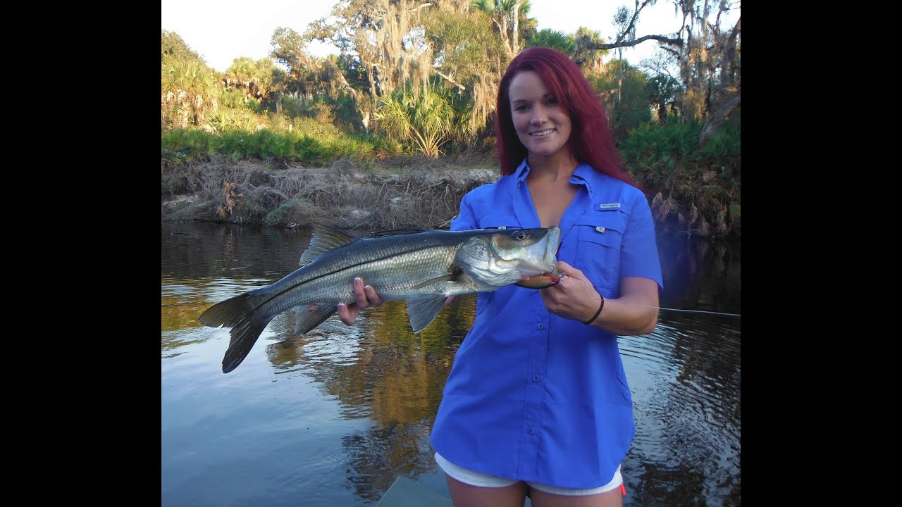 Best Snook Lures for Florida Fishing – Siesta Key Fishing Charters