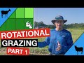 Rotational Grazing Part 1: Concept and Benefits