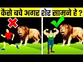 How to Survive a Lion Attack | Do This If You are Attacked by a Lion in Hindi