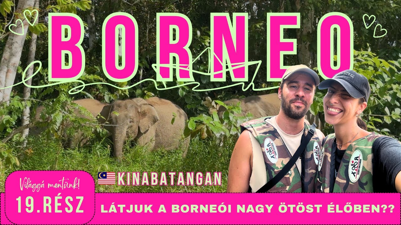 Benzin nélkül egy KROKODILOKKAL teli folyón, 40 VAD ELEFÁNTTAL szemben 🐊🐘 | Világgá mentünk 19. rész