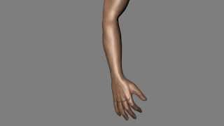 Hand sculpt