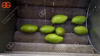 small model  mango washing machine|mango cleaning machine|mango process machine
