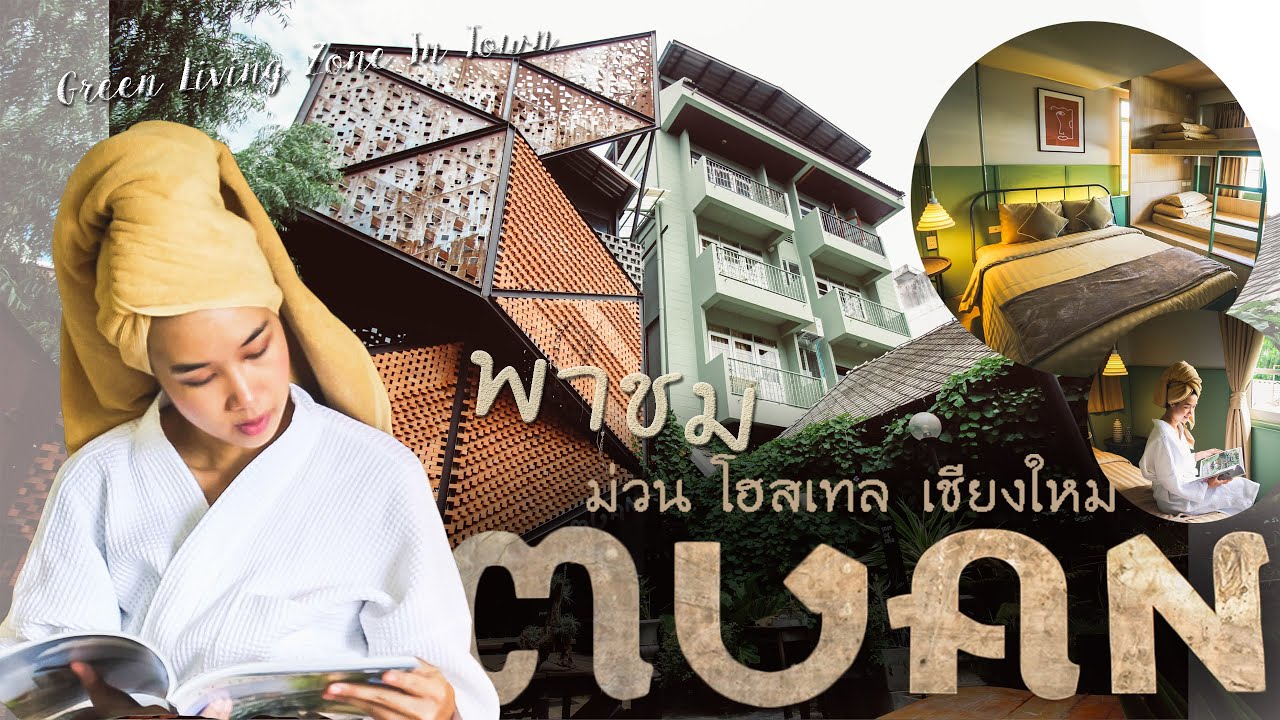 พาชม "ม่วน โฮสเทล" เชียงใหม่ | เดินจากประตูท่าแพเพียง 1 นาที Muan Hostel  Chiangmai - YouTube