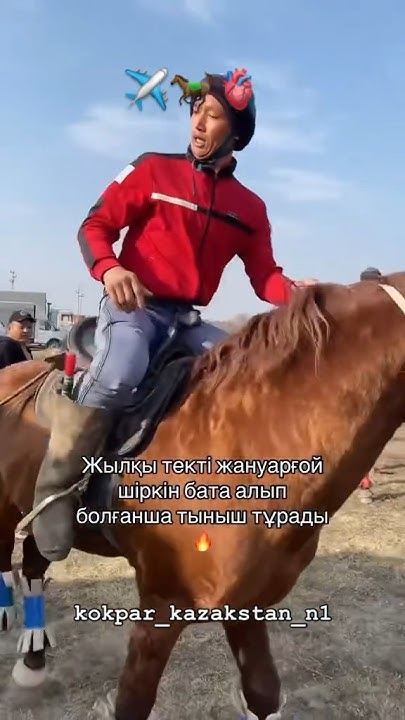 👍🐎🐎🐎🐎🐎🐎👍 #казахстан #киргизия #horse #лошади #купкари #лошадь #улок # ...