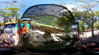 Sacramento zoo 360° part 3