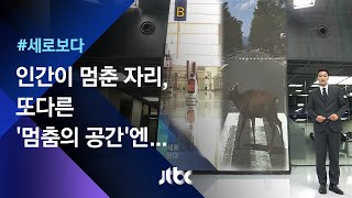 [세로보다] 인간이 멈춘 자리…또다른 '멈춤의 공간'엔 / JTBC 뉴스룸