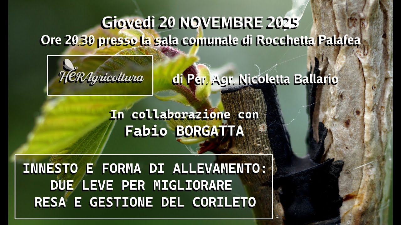 comunicazione serata formativa sull'innesto del nocciolo