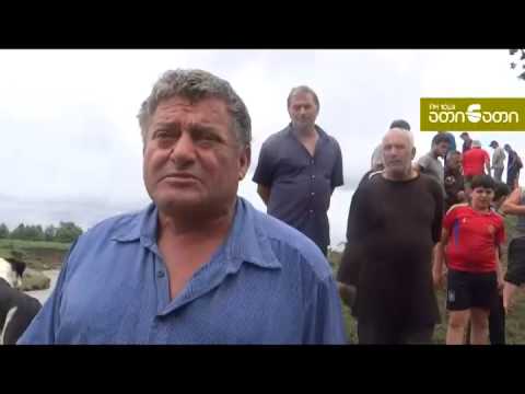 დარჩელი  მდინარე ჯუმი