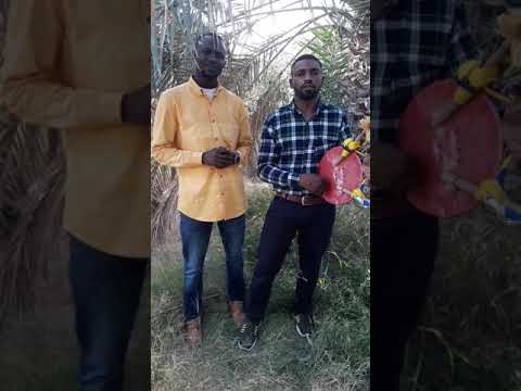 الشاعر معاذ عيسي أبو خريس تراث من الاواد المسيرة 