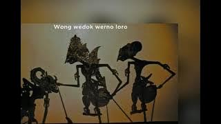 wong wedok kui werno loro