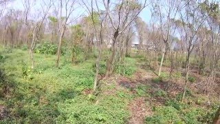 1050221唐哲手槍