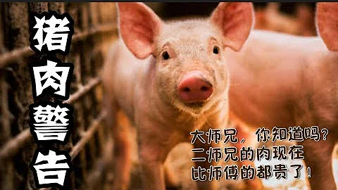 无肉不欢的日子结束了？中国猪肉涨价到吃不起了！China's pork prices to hit record level in 2019 - 天天要闻