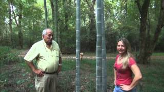 11 types of #Bamboo in this Georgia garden With Larry Fisher