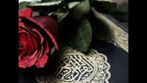 أجمل تلاوة سورة  (التحريم) أروع صوت ليث