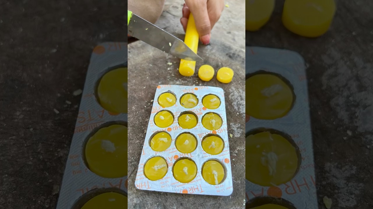 Survival Skills: SMART idea and USEFUL in forest #bushcraft #camping #outdoors