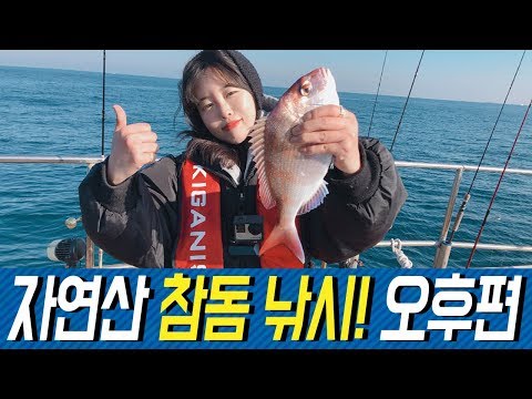 오후편 - natural red <strong>seabream</strong> fishing F.M.