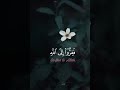 سورة ال عمران الشيخ ياسر سلامة Yasser Salama Surah Al Imran 