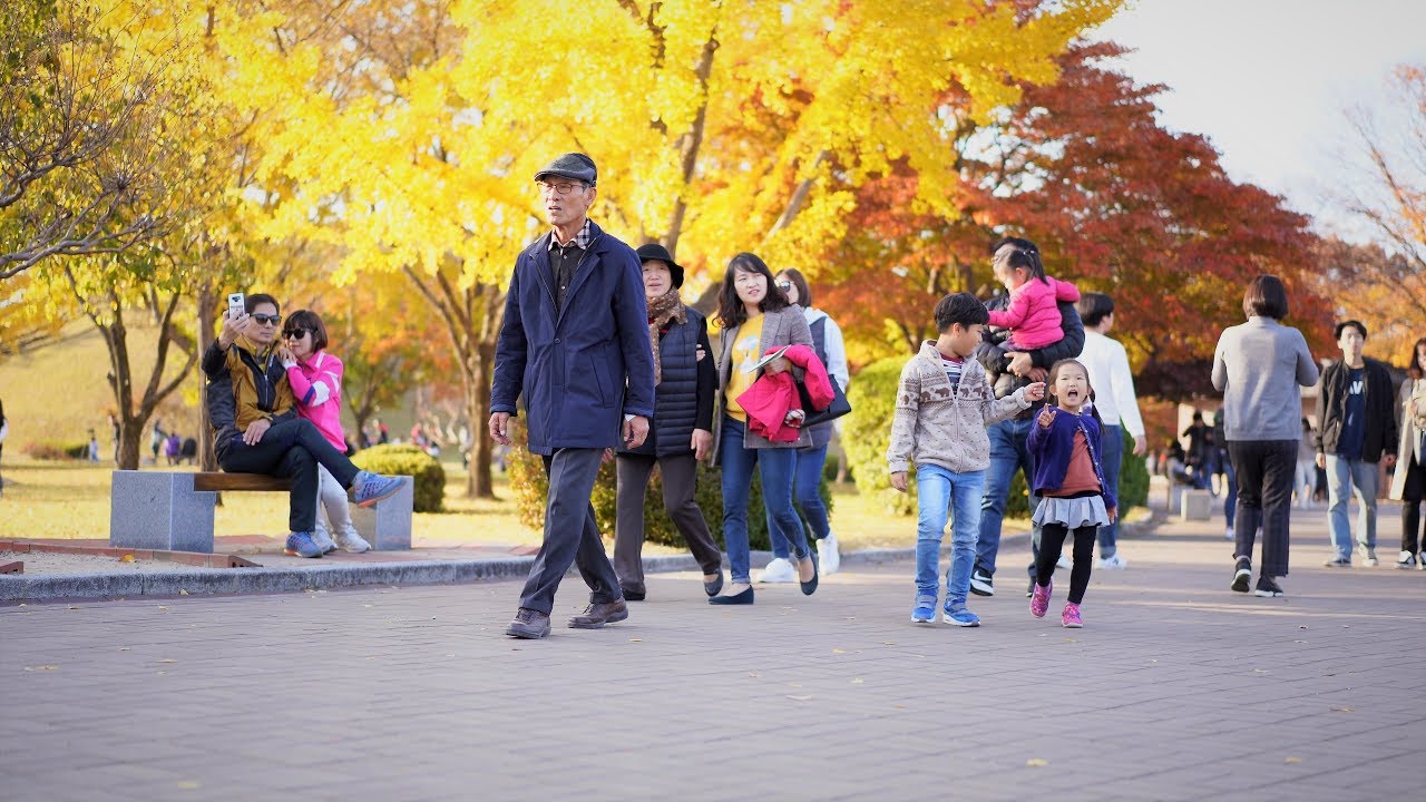 Sony a7III & sony zeiss 55mm1.8\\ 4k test