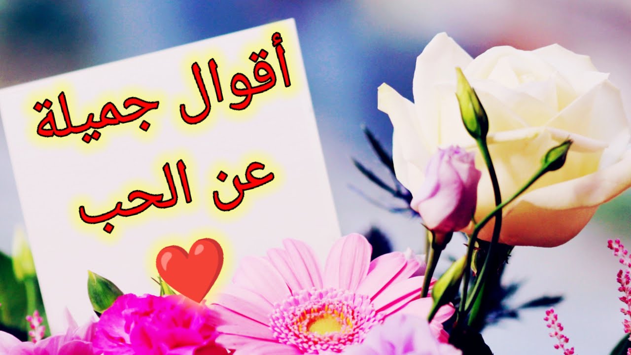 عبارات عن الحب والرومانسية ! ♥️أقوال وحكم #علاقة #عاطفة #عشق #حب #خواطر #حالات