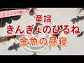 【童謡】きんぎょのひるね(金魚の昼寝)|あかいべべきた♪