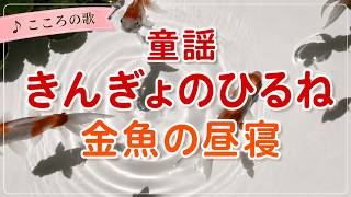童謡】きんぎょのひるね（金魚の昼寝）｜あかいべべきた♪ - YouTube