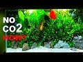 No co2 !! AMAZING GROWTH...HOW?? 4 MONTH Old Planted Aquarium AQUASCAPE