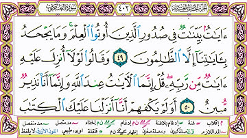القرآن الكريم مقسم صفحات | الشيخ حاتم فريد | سورة العنكبوت | صفحة 402 مكتوبة | مصحف التجويد الملون