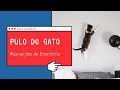 Resolução de Exercício: Pulo do Gato - OBI 2018, Terceira Fase, Nível 1