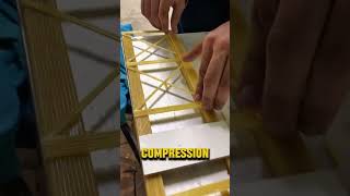 Spaghetti Bridge Held 800 POUNDS!? #shorts