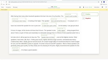Review Sentiment Annotation part 2
