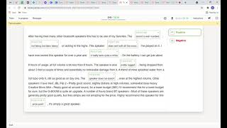 Review Sentiment Annotation part 2
